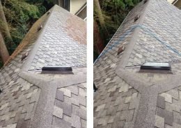 Woodlands roof cleaning service
